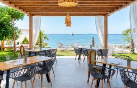 Website Domotel 1600×900 Salt House Domotel Kea