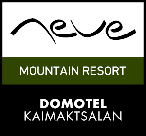 Domotel Neve Logo